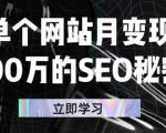 单个网站月变现100万的SEO秘密,百分百做出赚钱站点-互联网资源大全网