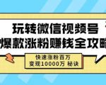 玩转微信视频号爆款涨粉赚钱全攻略,快速涨粉百万变现万元秘诀-互联网资源大全网