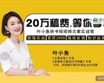 叶小鱼21天短视频文案拆书营,学完轻松搞定各类书单短视频文案-互联网资源大全网