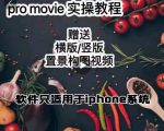 漆十二美食摄影,25节promovie实操高手课节-互联网资源大全网