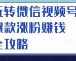 玩转微信视频号爆款涨粉赚钱全攻略,让你快速抓住流量风口,收获红利财富-互联网资源大全网