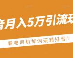 老古董·抖音月入5万引流玩法,看看老司机如何玩转抖音(附赠:抖音另类引流思路)-互联网资源大全网
