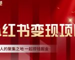 渣圈学苑·小红书虚拟资源变现项目,一起捞钱掘金价值1099元-互联网资源大全网