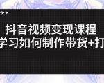 抖音短视频变现课程:带你学习如何制作带货+打造IP【41节】-互联网资源大全网