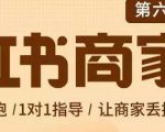 贾真-小红书商家营第6期商家版，21天带货陪跑课，让商家丢掉付流量-互联网资源大全网