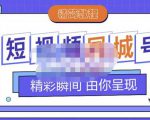大东·短视频同城号教程,包括搭建思路,版面制作,文案内容,剪辑操作等-互联网资源大全网