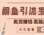 闲鱼引流宝妈粉+卖货赚钱一个月收益30000+（实操视频教程）-第一资源库
