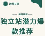 【跨境B哥】独立站潜力爆款选品推荐，测款出单率高达百分之80-互联网资源大全网