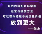 张sir账号流量增长课，告别海王流量，让你的流量更精准-互联网资源大全网