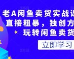 老A闲鱼卖货实战课，简单直接粗暴，独创方法带你玩转闲鱼卖货！-互联网资源大全网