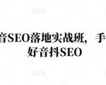 王通·抖音SEO落地实战班,手手带你做好音抖SEO-互联网资源大全网