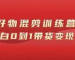 万三好物混剪训练营:小白0到1带货变现课-互联网资源大全网