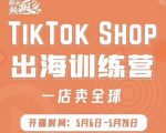 疯人院:TikTok Shop出海训练营(一店卖全球),出海抢占全球新流量-互联网资源大全网