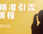 soul精准引流系列课程,每天引流100精准粉-互联网资源大全网