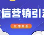 微信营销策划引流系列课程,每天引流100精准粉-互联网资源大全网
