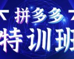 星雪教育·拼多多基础班+进阶班+突破班,用系统的学习模式快速改变现状价值3580元-互联网资源大全网
