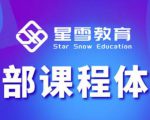 星雪教育淘系高级班，更全的运营提升方案，零基础由浅入深，店铺最新玩法-互联网资源大全网