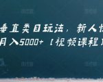 虚拟项目垂直类目玩法,新人快速起店,月入5000+【视频课程】-互联网资源大全网
