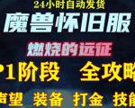 最新美服-怀旧服魔兽搬砖攻略,练级声望装备打金副本技能赚钱攻略-互联网资源大全网