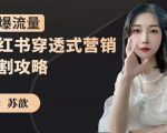 苏歆:小红书穿透式营销收割攻略,引爆流量,助你玩转小红书-互联网资源大全网