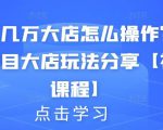 月入几万大店怎么操作?虚拟项目大店玩法分享【视频课程】-第一资源库