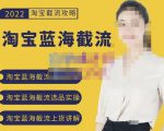 2022淘宝蓝海截流攻略，淘宝蓝海截流选品上货实操讲解-互联网资源大全网