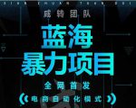 引流哥蓝海暴力躺赚项目:无需发圈无需引流无需售后,每单赚50-500(教程+线报群)-互联网资源大全网