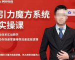 阿呆-引力魔方系统实操课,全体系实战教学,助你快速掌握推荐流量底层逻辑-互联网资源大全网