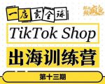 TikTokShop出海训练营(第十三期),打开全球流量新思维,出海抢占全球新流量,一店卖全球-互联网资源大全网