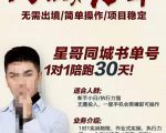 星哥同城教育书单号课程,无需出境简单操作项目稳定-互联网资源大全网