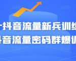 Peter抖音流量新兵训练营-破解抖音流量密码群爆训练营(新兵)-互联网资源大全网