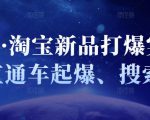 凌童·淘宝新品打爆实战班,直通车起爆、搜索起爆-互联网资源大全网