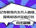 聚亿传媒张先生无人直播,教程素材话术全套打包-互联网资源大全网