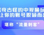 不讲李·稀奇古怪的冷门中视频冷门玩法，让你的账号脱颖而出，成为流量刺客！（图文+视频）-互联网资源大全网