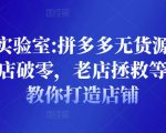 野路子实验室:拼多多无货源店群项目,新店破零,老店拯救等全方位教你打造店铺-互联网资源大全网