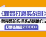 凌童《新品打爆实战班》,一套完整的实操实战落地方法,打爆链接超2000+(28节课)-互联网资源大全网