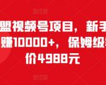 猎人联盟视频号项目，新手0基础轻松月赚10000+，保姆级教程原价4988元-互联网资源大全网
