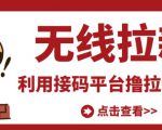 最新接码无限拉新项目,利用接码平台赚拉新平台差价,轻松日赚500+-互联网资源大全网