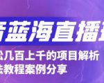 抖音最新蓝海直播玩法，3分钟赚30元，一天轻松1000+，只要你去直播就行【详细玩法教程】-互联网资源大全网