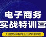 民赛电气内部出品:电子商务实战特训营,全方位带你入门电商,308种方式玩转电商-互联网资源大全网