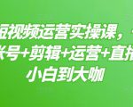 晨哥·短视频运营实操课,一部手机,账号+剪辑+运营+直播,从小白到大咖-互联网资源大全网