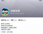 沙雕动画-皮蛋兄弟·熊猫人动画教学制作,全套素材文案教程分享!-互联网资源大全网
