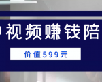 中视频赚钱陪跑，卖中视频账户赚钱收益陪跑项目（价值599元）-互联网资源大全网