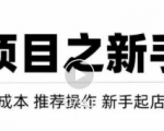 虚拟项目快速起店模式，0成本打造月入几万虚拟店铺！-互联网资源大全网
