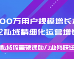 8000万用户规模增长方法论私域精细化运营增长,私域流量硬课助力业务跃迁-互联网资源大全网