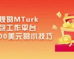 利用正规的MTurk微型众包工作平台，月赚1100美元的小技巧-互联网资源大全网