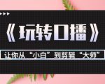 月营业额700万+大佬教您《玩转口播》让你从“小白”到剪辑“大师”-互联网资源大全网