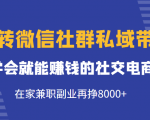 玩转微信社群私域带货,学会就能赚钱的社交电商,在家兼职副业再挣8000+-互联网资源大全网