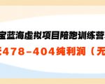 淘宝蓝海虚拟项目陪跑训练营5.0:单天478纯利润-第一资源库