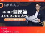 0粉0作品自然流正价起号及稳号全教程,专业自然流起号机构流程化教学(价值2980元)-互联网资源大全网